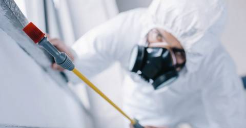 Menemen Böcek İlaçlama Menemen Böcek İlaçlama