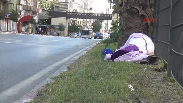 Antalya’nın göbeğinde refüjünde uykuya daldı