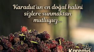 Şifa deposu Karemiş Karadut Özü