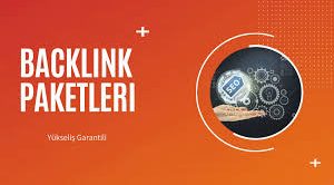 SEO Ajansı – Profesyonel Backlink Paketleri