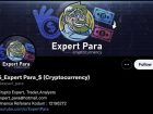 Expert Para﻿