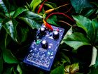Bitkilerle Müzik Yapmak Mümkün mü? Türkiye’de Geliştirilen Synterra Elektronik Müziğe Farklı Bir Yaklaşım Getiriyor