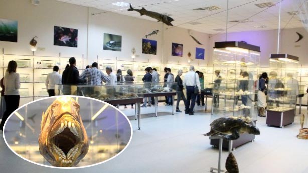 İzmir’de ilk yaşanarak Deniz canlıları merkezi açıldı