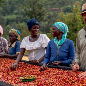 Malkins Coffee’den Kolombiya Kahve Belgeseli: Kolombiya’nın Yeşil Vadilerinden Türkiye’ye Malkins Coffee’den Kolombiya Kahve Belgeseli: Kolombiya’nın Yeşil Vadilerinden Türkiye’ye