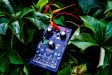 Bitkilerle Müzik Yapmak Mümkün mü? Türkiye’de Geliştirilen Synterra Elektronik Müziğe Farklı Bir Yaklaşım Getiriyor
