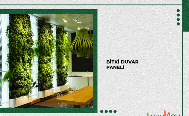 Bitki Duvar Nedir? ﻿