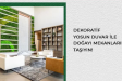 Dekoratif Yosun İle Evinize Doğayı Getirin